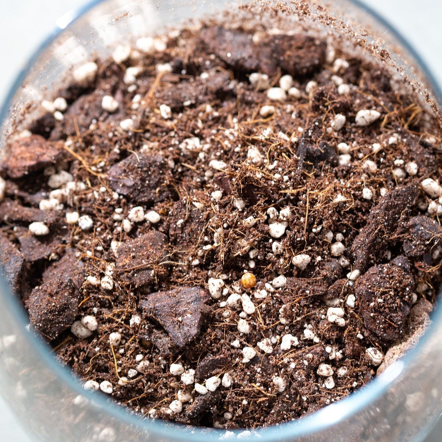 Chunky Funky mix for aroids 25L +