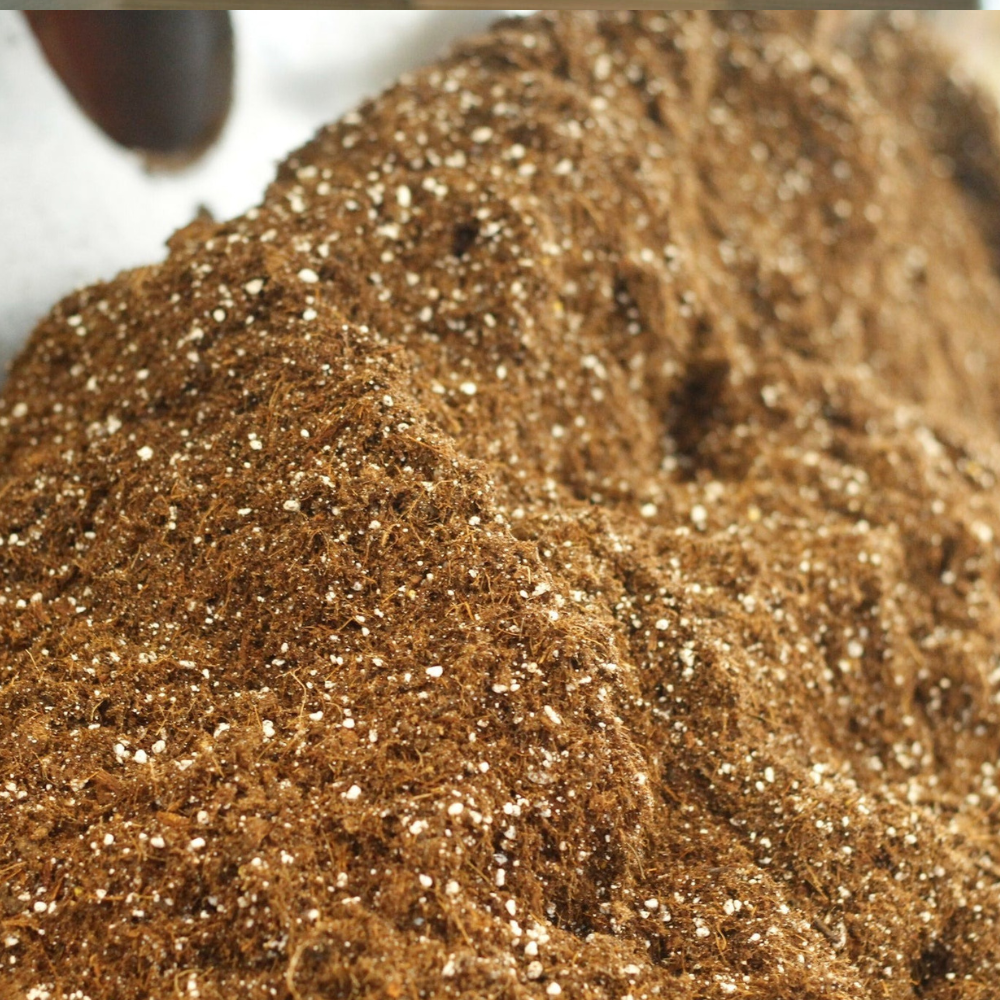 Premium Mix for aroids 25L