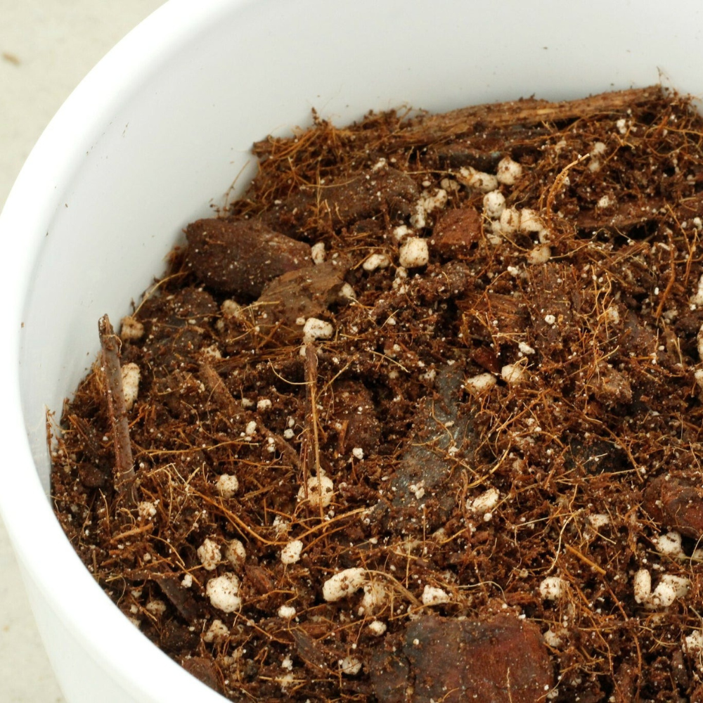 Chunky Funky mix for aroids 25L +