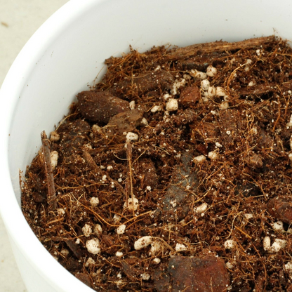 Chunky Funky mix for aroids 25L +