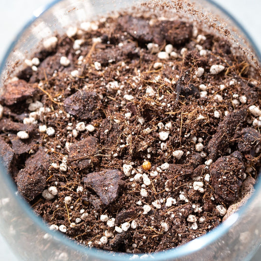 Chunky Funky mix for aroids 25L +