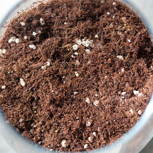 Premium Mix for aroids 25L